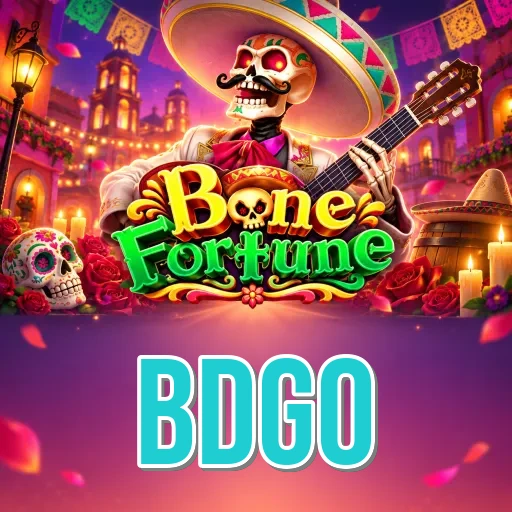 Troubleshooting - bdgo Optimization Tips