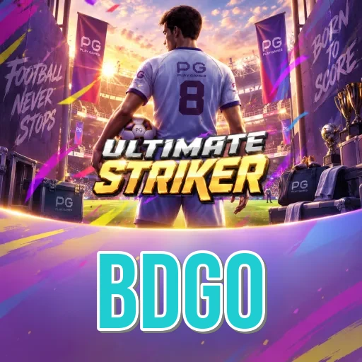 Installation Guide - bdgo Expert Tutorial