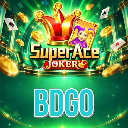 bdgo Security FAQ